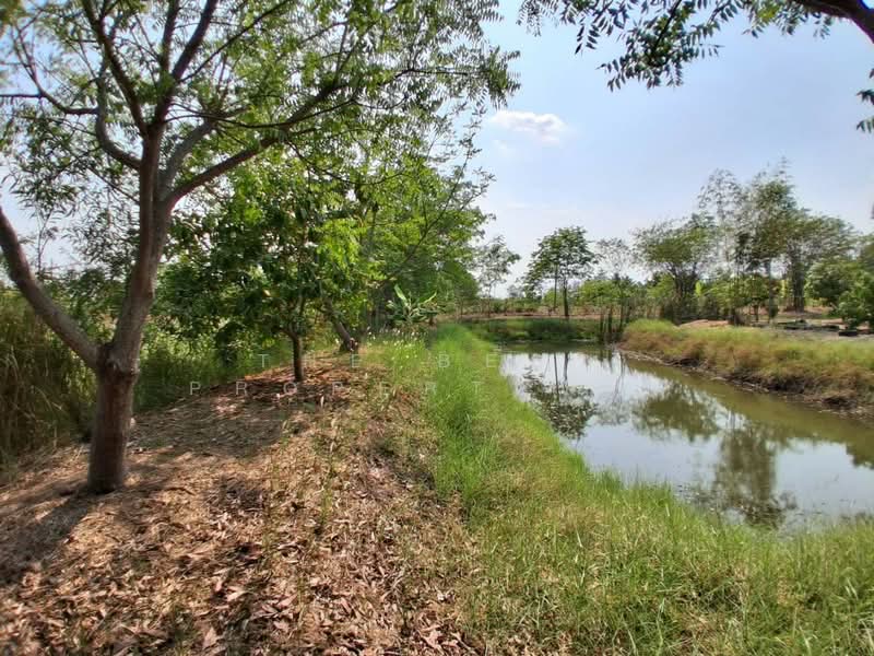 ที่ดินองครักษ์ นครนายก, Nakhon Nayok, Bang Pla Kot, Ongkharak, Nakhon Nayok, , 1,316 sqm, Land For Sale, by The Best Property ไก่, 500213768 - DDproperty.com