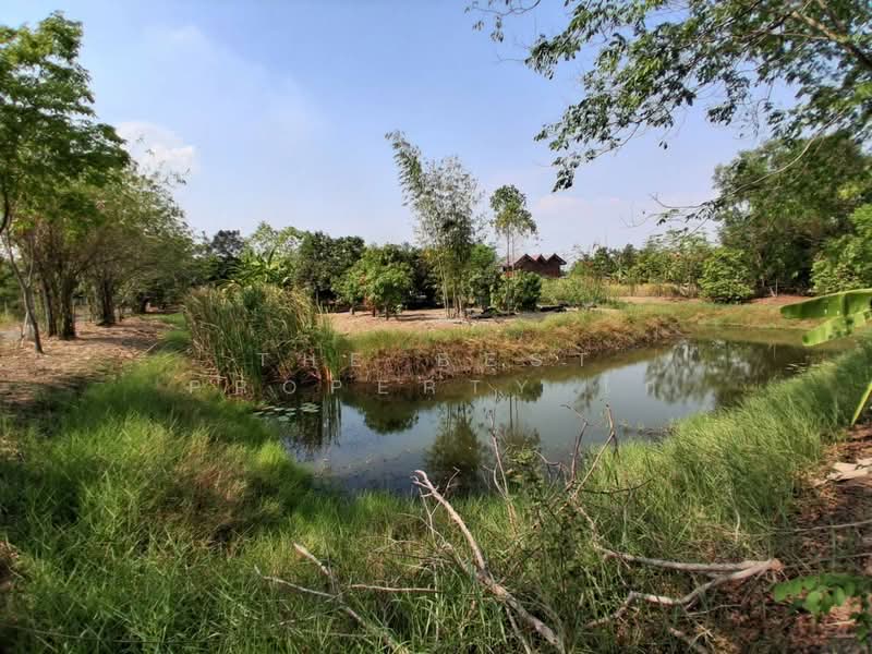 ที่ดินองครักษ์ นครนายก, Nakhon Nayok, Bang Pla Kot, Ongkharak, Nakhon Nayok, , 1,316 sqm, Land For Sale, by The Best Property ไก่, 500213768 - DDproperty.com