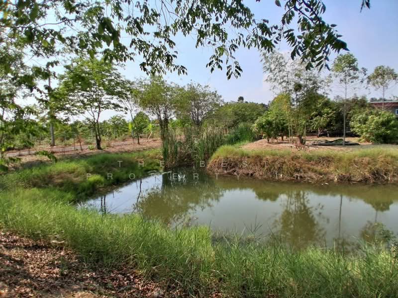 ที่ดินองครักษ์ นครนายก, Nakhon Nayok, Bang Pla Kot, Ongkharak, Nakhon Nayok, , 1,316 sqm, Land For Sale, by The Best Property ไก่, 500213768 - DDproperty.com