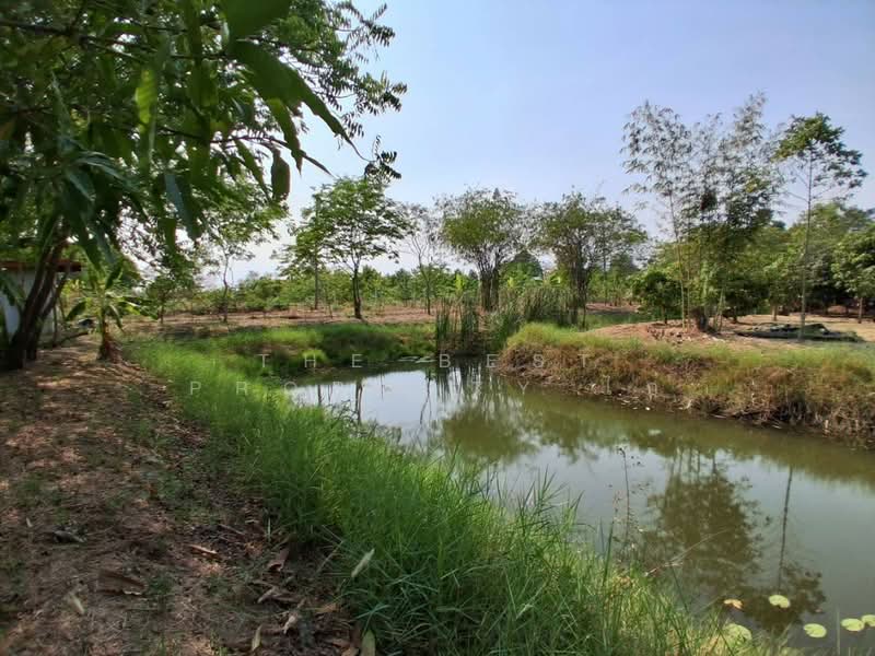ที่ดินองครักษ์ นครนายก, Nakhon Nayok, Bang Pla Kot, Ongkharak, Nakhon Nayok, , 1,316 sqm, Land For Sale, by The Best Property ไก่, 500213768 - DDproperty.com