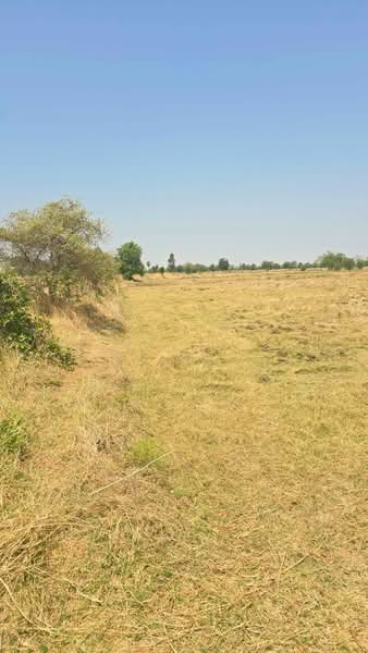 ขาย - ที่ดินโคกสำโรง ลพบุรี, ลพบุรี