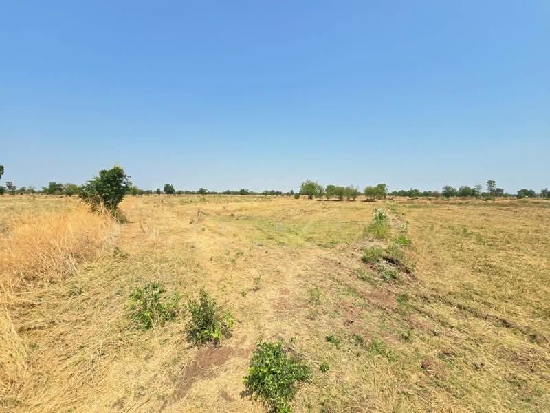 ขาย - ที่ดินโคกสำโรง ลพบุรี, ลพบุรี