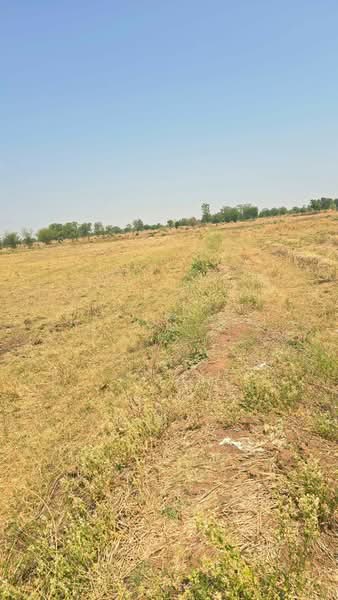 ขาย - ที่ดินโคกสำโรง ลพบุรี, ลพบุรี