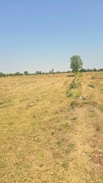 ที่ดินโคกสำโรง ลพบุรี, Lop Buri, Phaniat, Khok Samrong, Lop Buri, , 47,060 sqm, Land For Sale, by The Best Property ข้าว, 500213826 - DDproperty.com