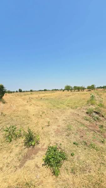 ที่ดินโคกสำโรง ลพบุรี, Lop Buri, Phaniat, Khok Samrong, Lop Buri, , 47,060 sqm, Land For Sale, by The Best Property ข้าว, 500213826 - DDproperty.com