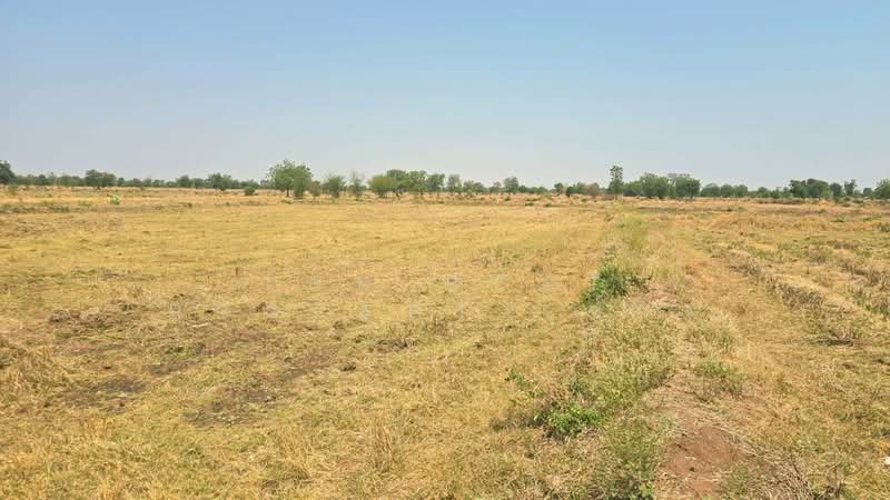 ขาย - ที่ดินโคกสำโรง ลพบุรี, ลพบุรี