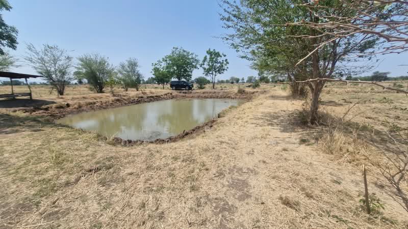 ที่ดินโคกสำโรง ลพบุรี, Lop Buri, Phaniat, Khok Samrong, Lop Buri, , 47,060 sqm, Land For Sale, by The Best Property ข้าว, 500213826 - DDproperty.com