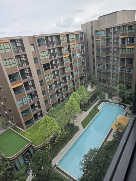 Dcondo Calm Ramkhamhaeng 40 : ดีคอนโด คาล์ม คอนโด รามคำแหง 40, กรุงเทพ, หัวหมาก, บางกะปิ, กรุงเทพ, 30 ตร.ม., คอนโด ให้เช่า, โดย Living Real Estates, 500213850 - DDproperty.com