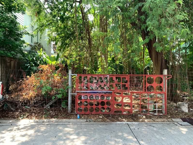 For Sale - ที่ดินเปล่า 42 ตร.ว. ที่ดินใกล้รถไฟรถไฟฟ้สายสีเหลือง เซ็นทรัลลาดพร้าว ซอยลาดพร้าว34, Bangkok