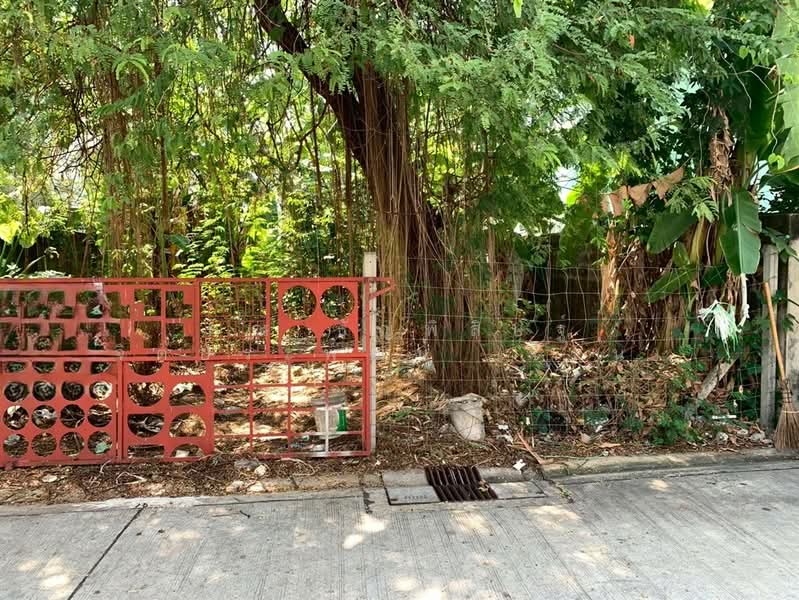 ขาย - ที่ดินเปล่า 42 ตร.ว. ที่ดินใกล้รถไฟรถไฟฟ้สายสีเหลือง เซ็นทรัลลาดพร้าว ซอยลาดพร้าว34, กรุงเทพ