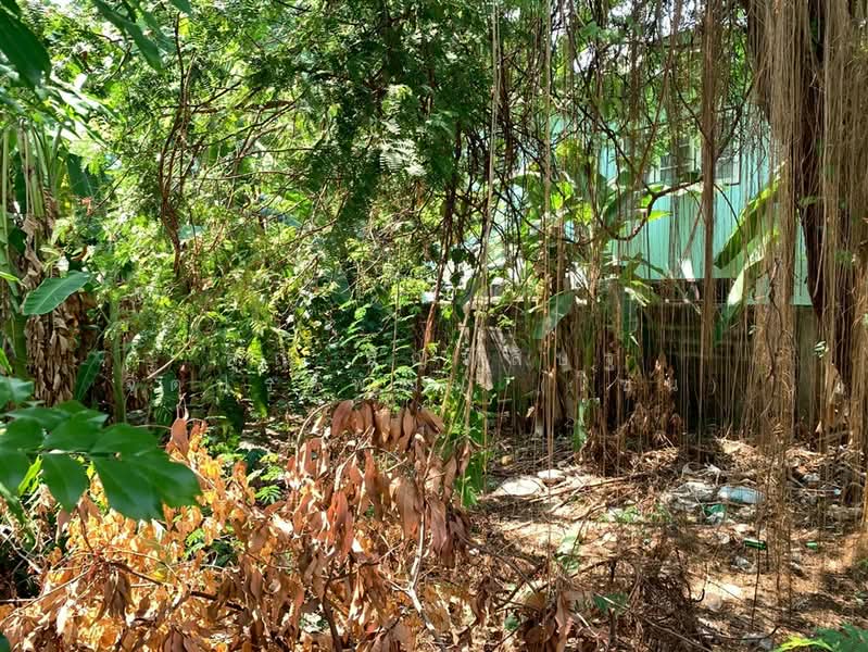 For Sale - ที่ดินเปล่า 42 ตร.ว. ที่ดินใกล้รถไฟรถไฟฟ้สายสีเหลือง เซ็นทรัลลาดพร้าว ซอยลาดพร้าว34, Bangkok