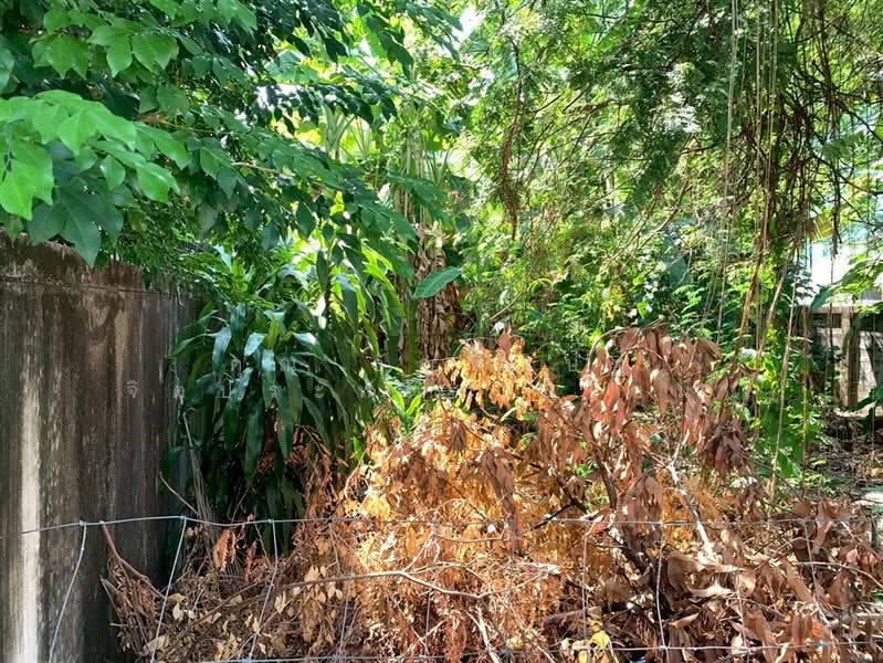 For Sale - ที่ดินเปล่า 42 ตร.ว. ที่ดินใกล้รถไฟรถไฟฟ้สายสีเหลือง เซ็นทรัลลาดพร้าว ซอยลาดพร้าว34, Bangkok