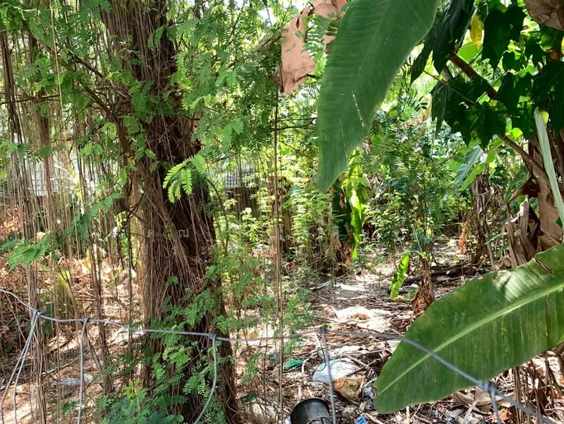 For Sale - ที่ดินเปล่า 42 ตร.ว. ที่ดินใกล้รถไฟรถไฟฟ้สายสีเหลือง เซ็นทรัลลาดพร้าว ซอยลาดพร้าว34, Bangkok