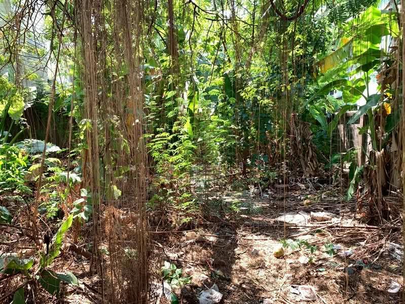 ขาย - ที่ดินเปล่า 42 ตร.ว. ที่ดินใกล้รถไฟรถไฟฟ้สายสีเหลือง เซ็นทรัลลาดพร้าว ซอยลาดพร้าว34, กรุงเทพ