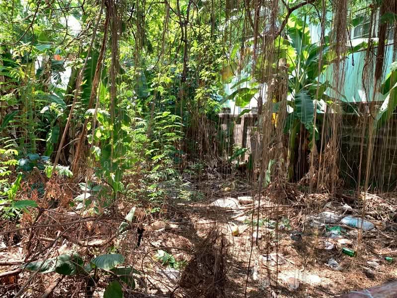 For Sale - ที่ดินเปล่า 42 ตร.ว. ที่ดินใกล้รถไฟรถไฟฟ้สายสีเหลือง เซ็นทรัลลาดพร้าว ซอยลาดพร้าว34, Bangkok