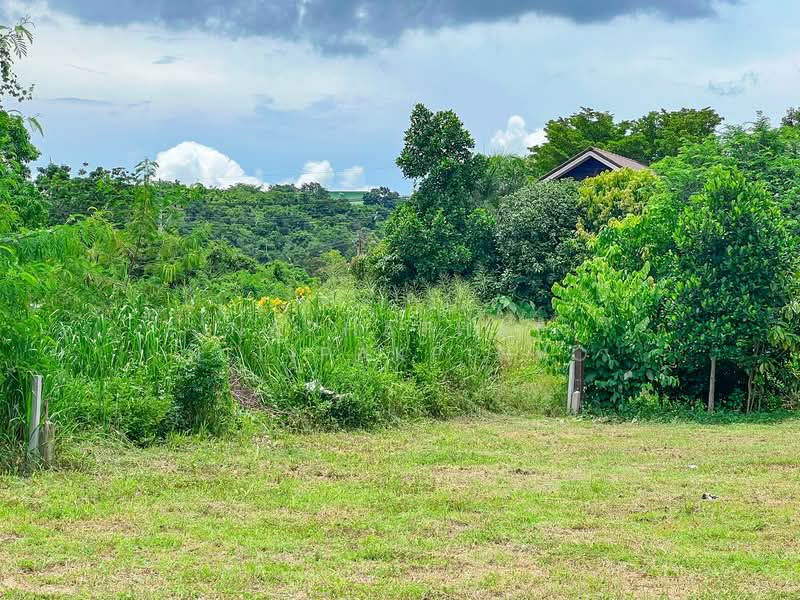 ขาย - บางเสร่, ชลบุรี