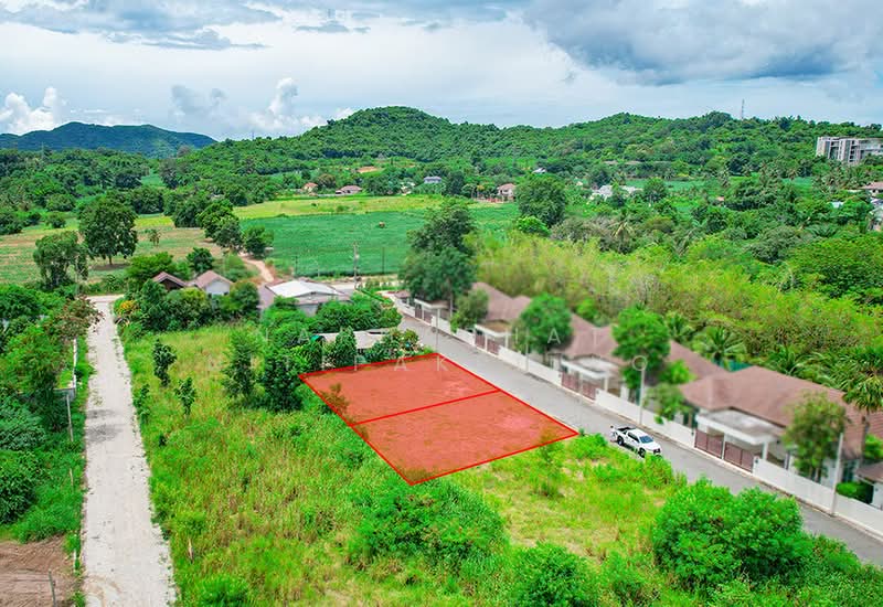 ขาย - บางเสร่, ชลบุรี