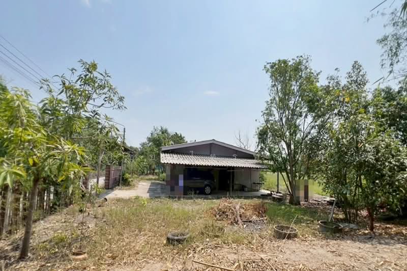 ขาย - ซอยร่วมใจสามัคคี หมู่ 5 ถนนรังสิต - นครนายก ตำบลนพรัตน์ อำเภอหนองเสือ จังหวัดปทุมธานี 12170, ปทุมธานี