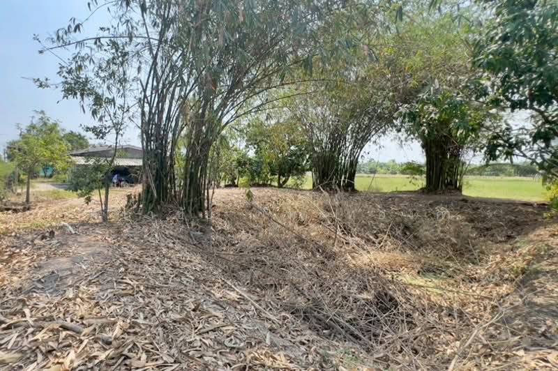 ขาย - ซอยร่วมใจสามัคคี หมู่ 5 ถนนรังสิต - นครนายก ตำบลนพรัตน์ อำเภอหนองเสือ จังหวัดปทุมธานี 12170, ปทุมธานี