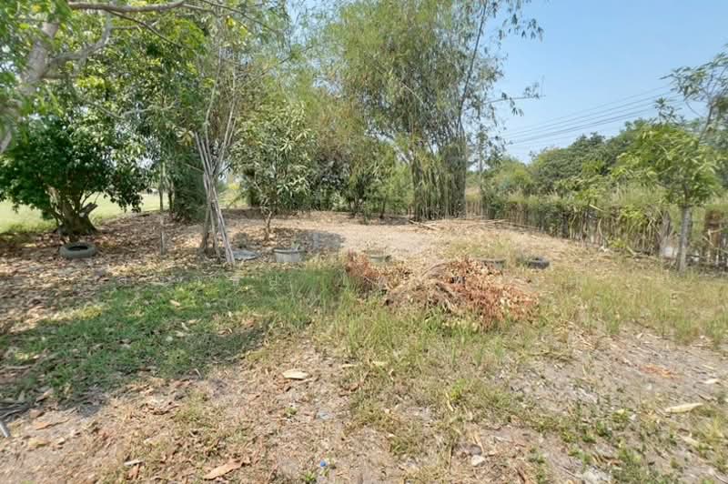 ซอยร่วมใจสามัคคี หมู่ 5 ถนนรังสิต - นครนายก ตำบลนพรัตน์ อำเภอหนองเสือ จังหวัดปทุมธานี 12170, Pathum Thani, Noparat, Nong Sua, Pathum Thani, 1 Bedroom, 120 sqm, Single Detached House For Sale, by สง่าชัย ไทรทองคำ, 500213972 - DDproperty.com