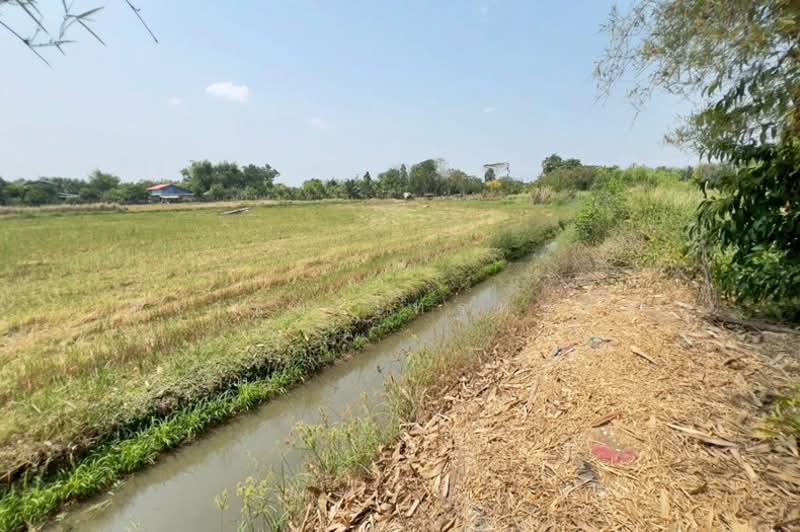 ซอยร่วมใจสามัคคี หมู่ 5 ถนนรังสิต - นครนายก ตำบลนพรัตน์ อำเภอหนองเสือ จังหวัดปทุมธานี 12170, Pathum Thani, Noparat, Nong Sua, Pathum Thani, 1 Bedroom, 120 sqm, Single Detached House For Sale, by สง่าชัย ไทรทองคำ, 500213972 - DDproperty.com