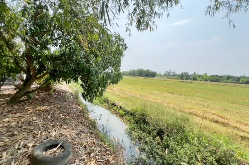 ซอยร่วมใจสามัคคี หมู่ 5 ถนนรังสิต - นครนายก ตำบลนพรัตน์ อำเภอหนองเสือ จังหวัดปทุมธานี 12170, Pathum Thani, Noparat, Nong Sua, Pathum Thani, 1 Bedroom, 120 sqm, Single Detached House For Sale, by สง่าชัย ไทรทองคำ, 500213972 - DDproperty.com