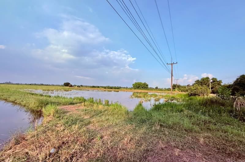 ขาย - ซอยคุณหม่อม, นครนายก