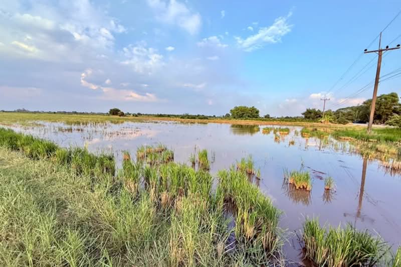 ซอยคุณหม่อม, Nakhon Nayok, Srisa Krabu, Ongkharak, Nakhon Nayok, , 159,992 sqm, Land For Sale, by ชนะชาติ นนท์ตา, 500214003 - DDproperty.com