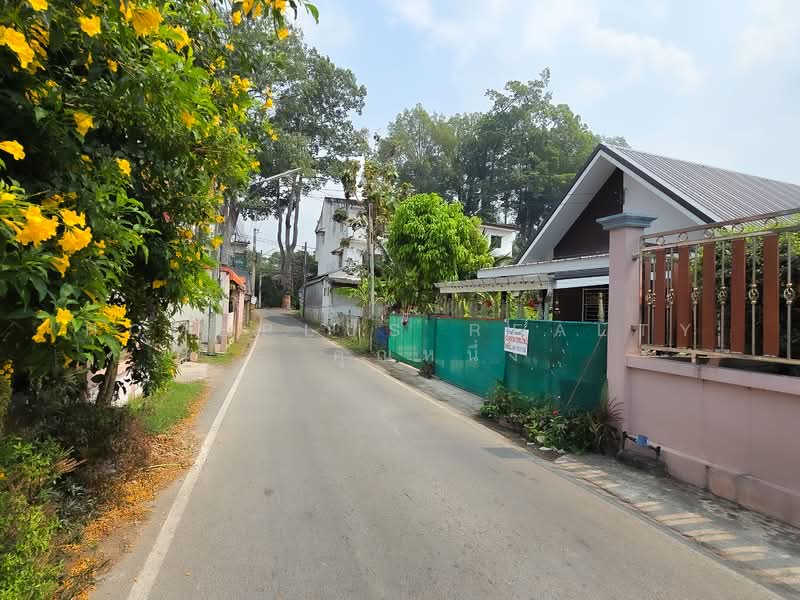For Sale - สารภี, Chiang Mai