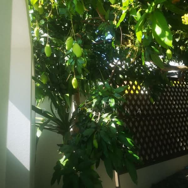 ให้เช่า - Emerald Scenery : เอมเมอรัล ซินเนอร์รี่, ประจวบคีรีขันธ์