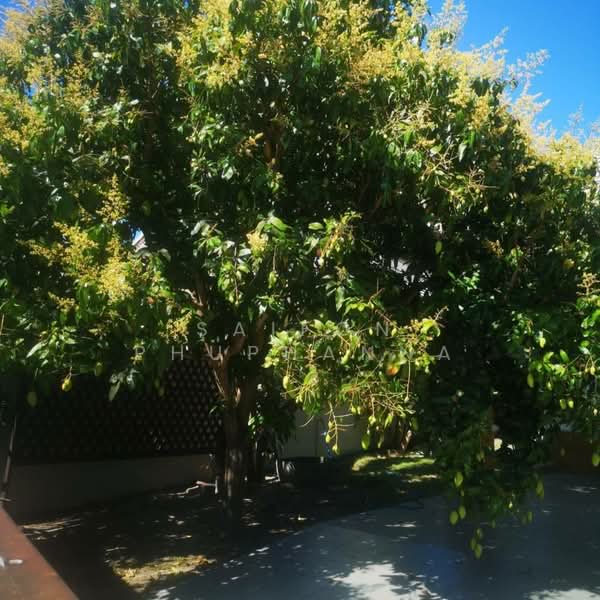 ให้เช่า - Emerald Scenery : เอมเมอรัล ซินเนอร์รี่, ประจวบคีรีขันธ์