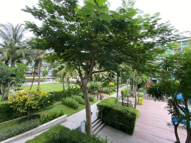 Amari Residences Hua Hin, Prachuap Khiri Khan, Soi Hua Hin 87, Nong Kae, Hua Hin, Prachuap Khiri Khan, 1 Bedroom, 45 sqm, Condo For Rent, by Saifon Phuphanna, 500214221 - DDproperty.com