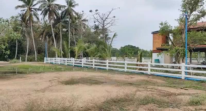 ขาย - ที่ดินท่ายาง เพชรบุรี, เพชรบุรี