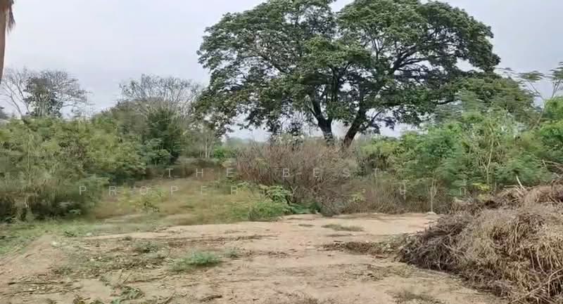 ขาย - ที่ดินท่ายาง เพชรบุรี, เพชรบุรี