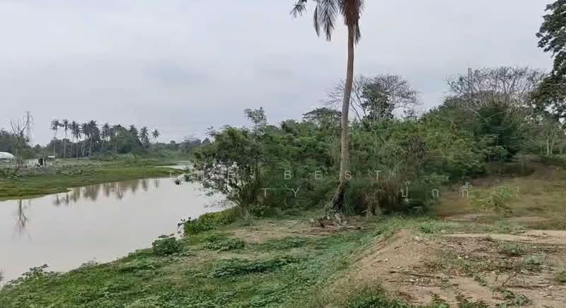 ขาย - ที่ดินท่ายาง เพชรบุรี, เพชรบุรี
