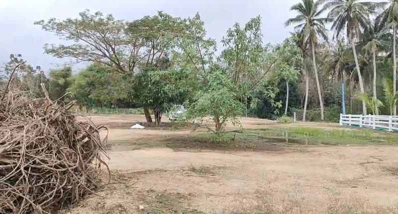 ขาย - ที่ดินท่ายาง เพชรบุรี, เพชรบุรี