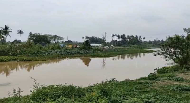 ขาย - ที่ดินท่ายาง เพชรบุรี, เพชรบุรี