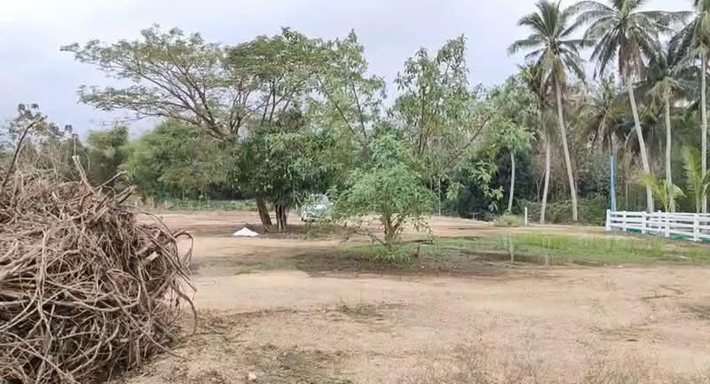 ที่ดินท่ายาง เพชรบุรี, Phetchaburi, Tha Mai Ruak, Tha Yang, Phetchaburi, , 1,276 sqm, Land For Sale, by The Best Property   ปุ๊กกี้, 500214279 - DDproperty.com