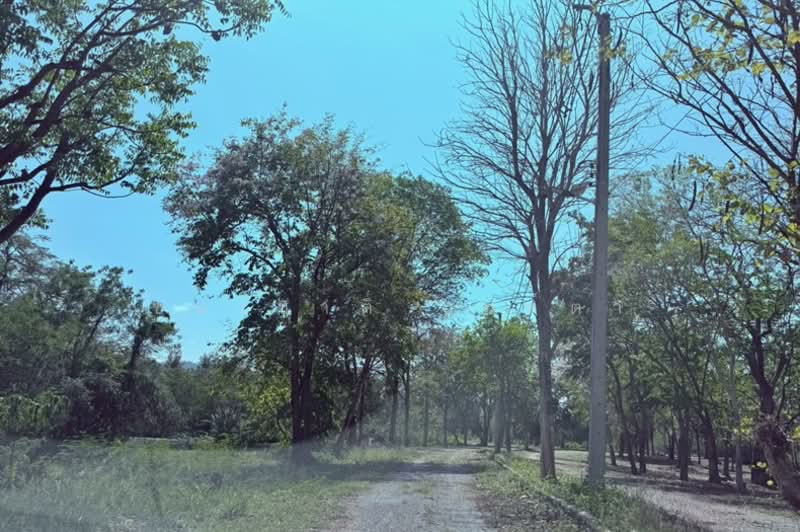 ขาย - เฮลสปาร์ แอนด์รีสอร์ท, สระบุรี