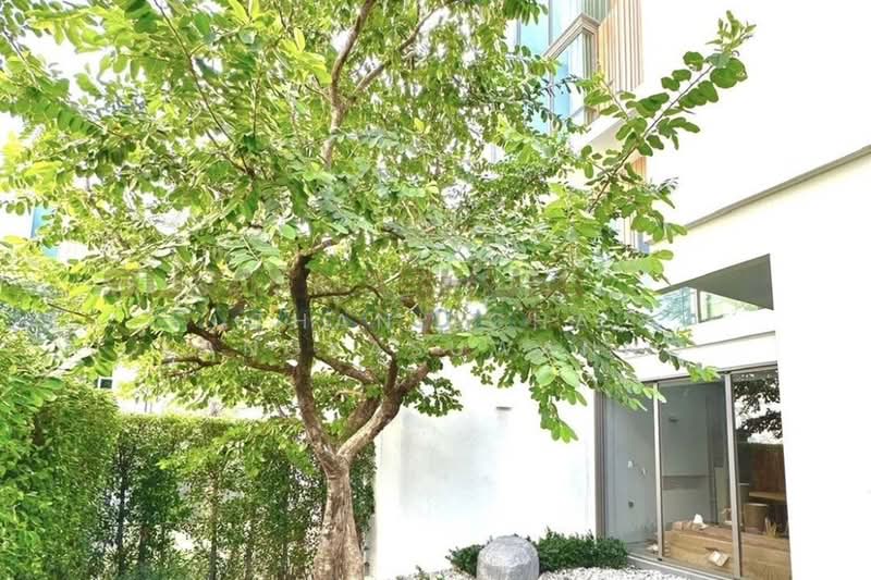 VIVE Rama 9 : วีเว่ พระราม 9, กรุงเทพ, 38 ถนนกรุงเทพกรีฑา, สะพานสูง, สะพานสูง, กรุงเทพ, 314 ตร.ม., บ้านเดี่ยว ขาย, โดย Thanitcha Kangkasuwanno, 500214341 - DDproperty.com