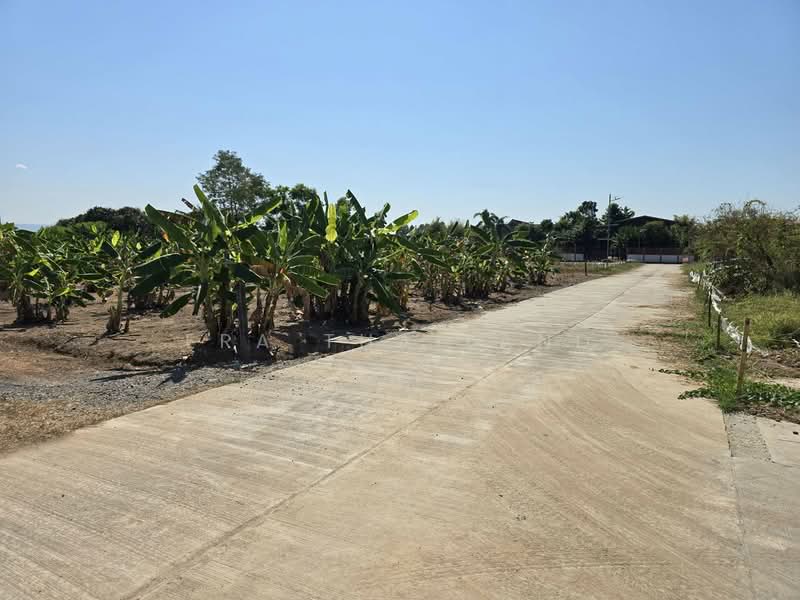 ขาย - ขายที่ดินแปลงหัวมุมถมแล้ว ติดถนน 3 ด้าน ใกล้สามแยกซีพี, พิษณุโลก