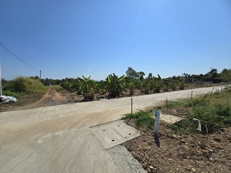 ขาย - ขายที่ดินแปลงหัวมุมถมแล้ว ติดถนน 3 ด้าน ใกล้สามแยกซีพี, พิษณุโลก