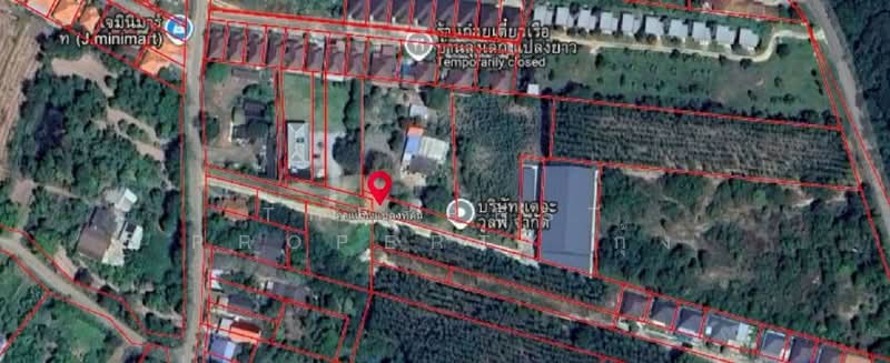 ที่ดินพร้อมสิ่งปลูกสร้างแปลงยาว ฉะเชิงเทรา, ฉะเชิงเทรา, วังเย็น, แปลงยาว, ฉะเชิงเทรา, 2,560 ตร.ม., ที่ดิน ขาย, โดย The Best Property กุ้ง, 500214451 - DDproperty.com