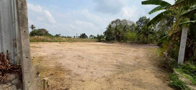 Land for Sale – Takhian Tia, Chon Buri (Pattaya), Ta Khian Tia, Bang Lamung (Pattaya), Chon Buri (Pattaya), , 1,580 sqm, Land For Sale, by Arissara Kamonrit, 500214533 - DDproperty.com