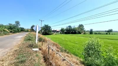 ขาย - ที่ดินจังหาร ร้อยเอ็ด, ร้อยเอ็ด