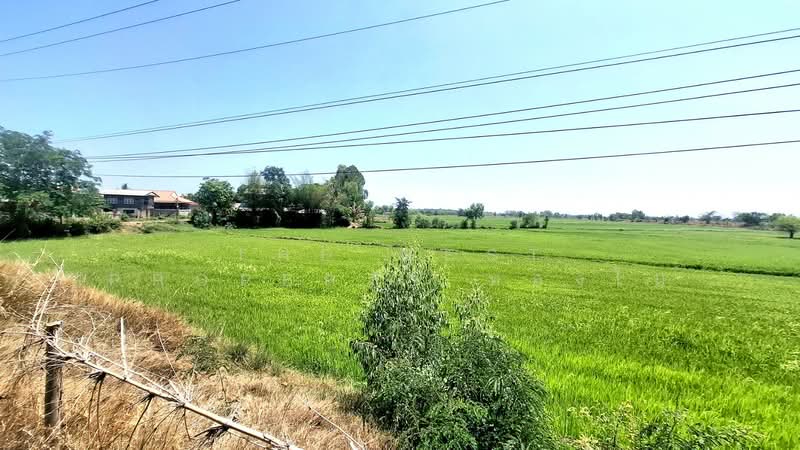 ขาย - ที่ดินจังหาร ร้อยเอ็ด, ร้อยเอ็ด