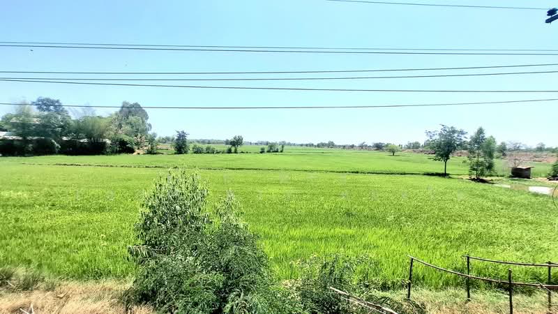 ขาย - ที่ดินจังหาร ร้อยเอ็ด, ร้อยเอ็ด