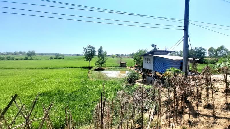 ที่ดินจังหาร ร้อยเอ็ด, Roi Et, Muang Lat, Chang Han, Roi Et, , 7,492 sqm, Land For Sale, by The Best Property ทองใบ, 500214561 - DDproperty.com