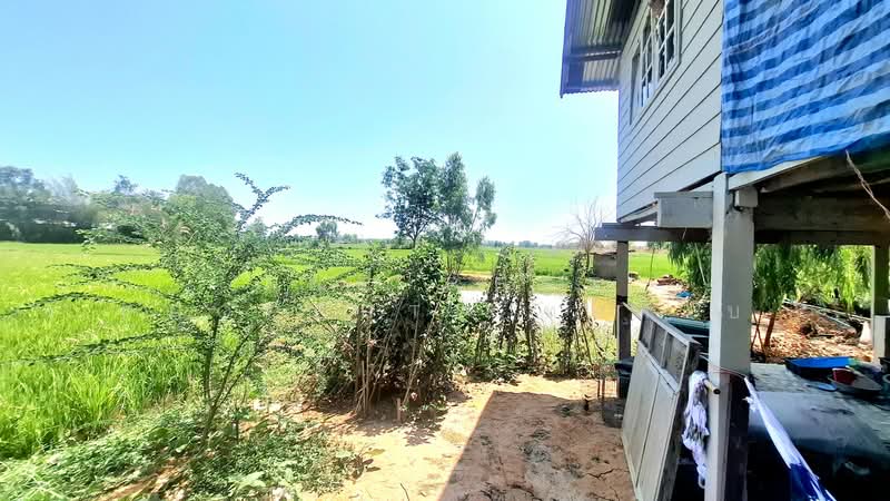 ที่ดินจังหาร ร้อยเอ็ด, Roi Et, Muang Lat, Chang Han, Roi Et, , 7,492 sqm, Land For Sale, by The Best Property ทองใบ, 500214561 - DDproperty.com