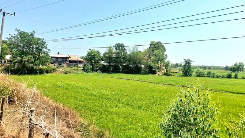 ที่ดินจังหาร ร้อยเอ็ด, Roi Et, Muang Lat, Chang Han, Roi Et, , 7,492 sqm, Land For Sale, by The Best Property ทองใบ, 500214561 - DDproperty.com